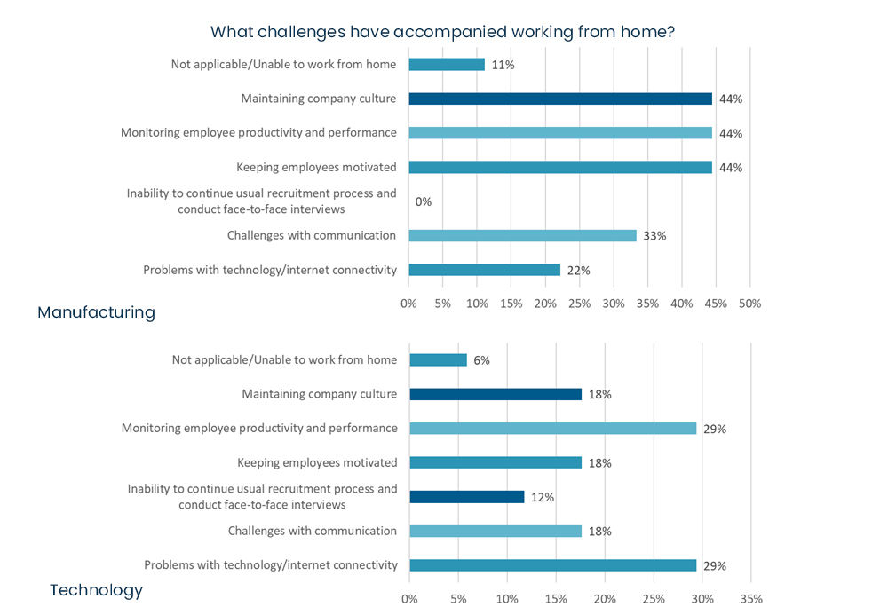 COVID-19 business survey - What challenges have accompanied working from home.jpg