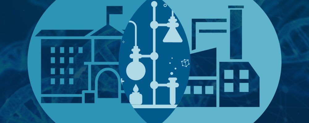 Academia vs Industry Which career path is right for you Academia vs industry: Which career path is right for you?