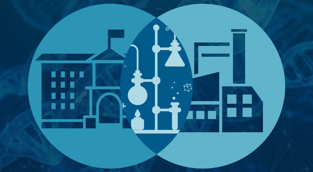 Academia vs Industry Which career path is right for you Academia vs industry: Which career path is right for you?
