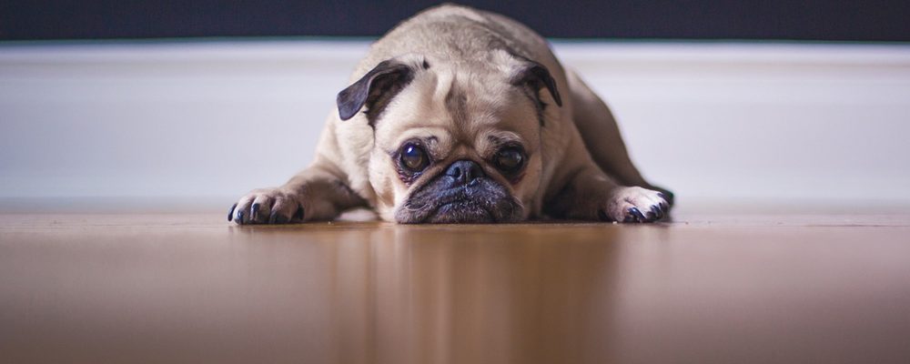 flexible working in recruitment 2 Tired of the crazy long hours in recruitment?