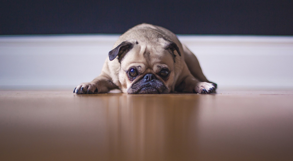 flexible working in recruitment 2 Tired of the crazy long hours in recruitment?