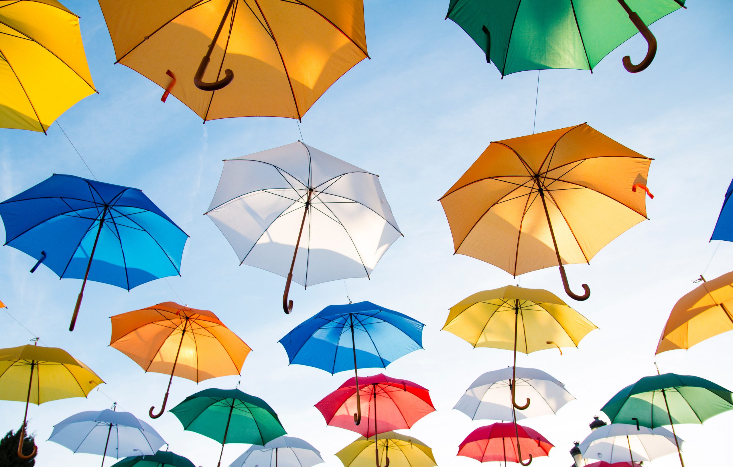 Recommended umbrella companies