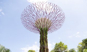 Finding the right candidates for sustainable engineering