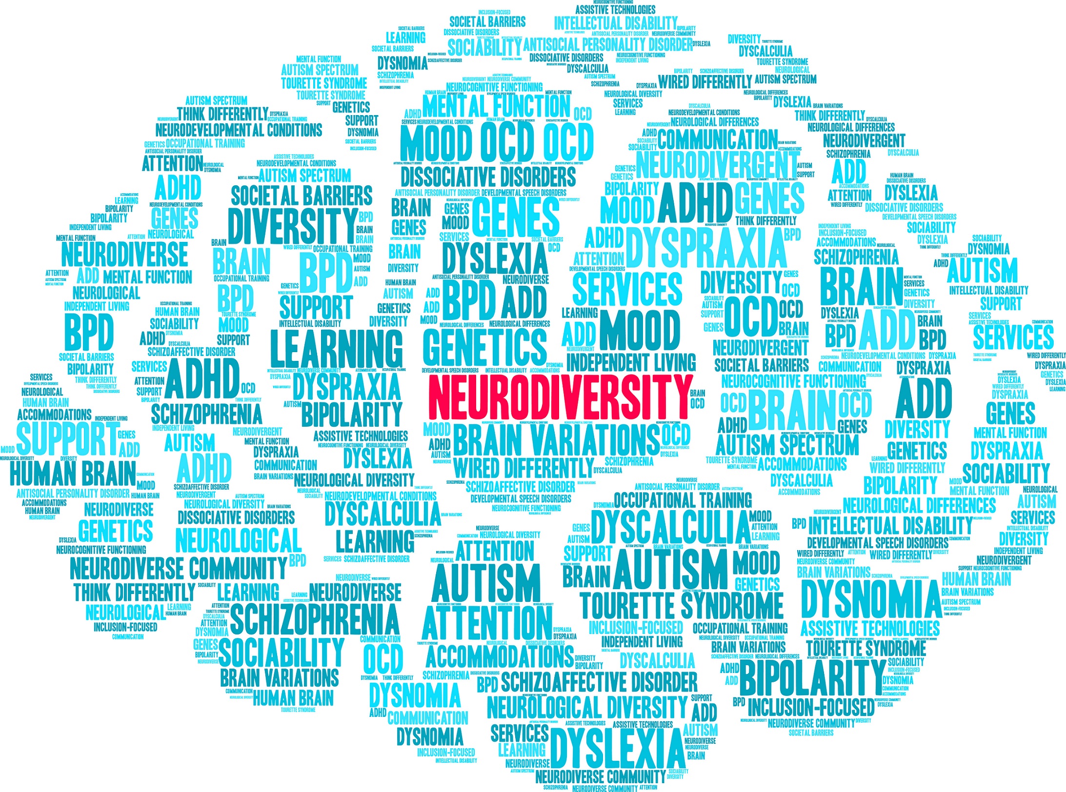 Neurodiversity Word Cloud Why we should celebrate all types of neurodiversity in STEM