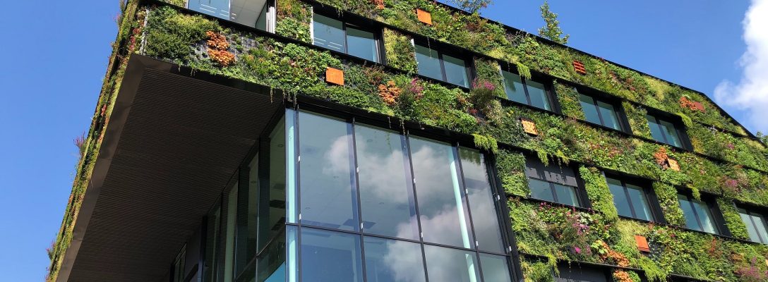 jw-OFDrwleTtdE-unsplash How to be more sustainable and environmentally conscious in your STEM role