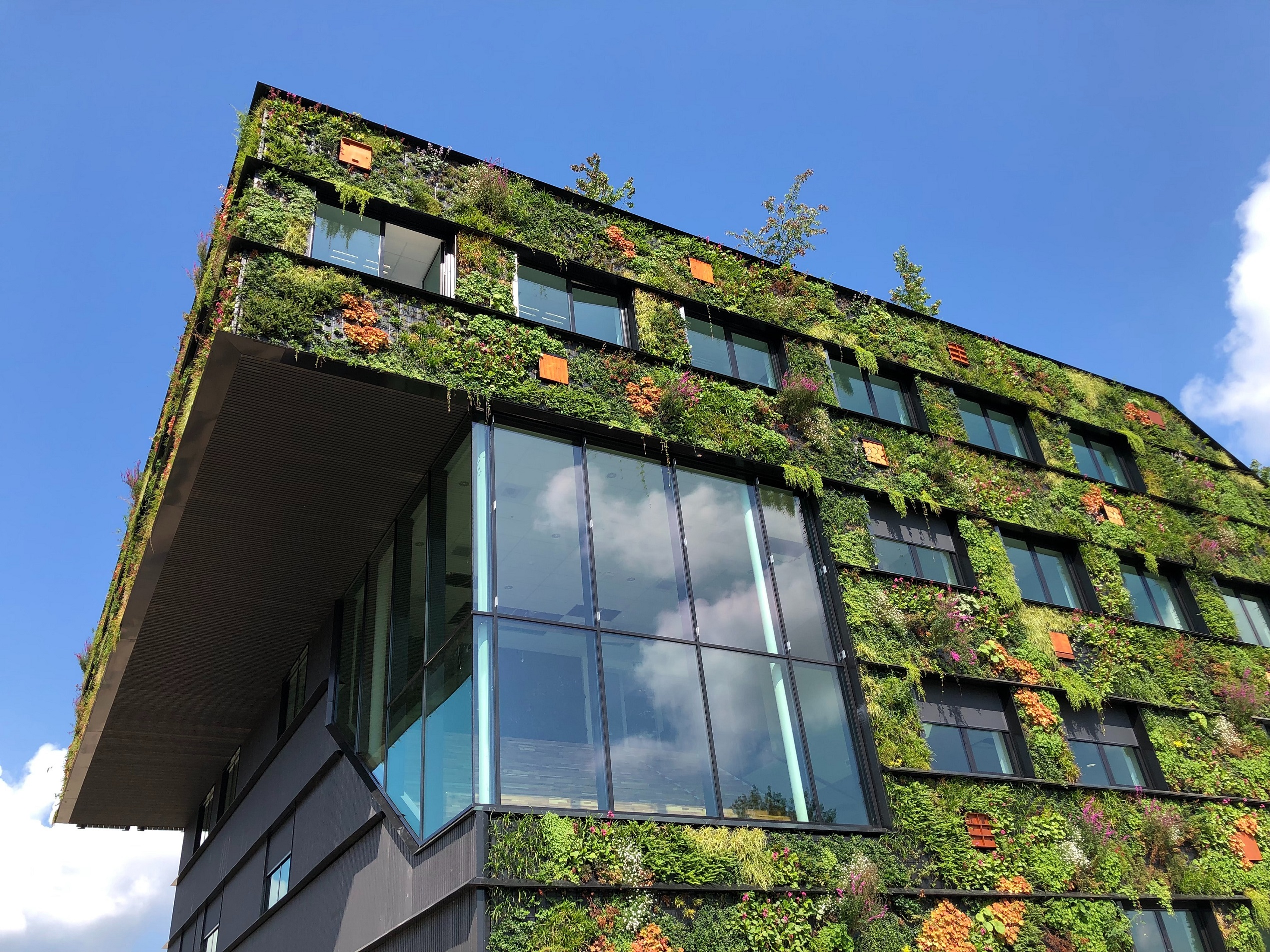 jw-OFDrwleTtdE-unsplash How to be more sustainable and environmentally conscious in your STEM role