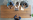 Why are so many quantum companies hiring senior positions?