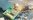 Are electronics helping the renewable sector thrive?